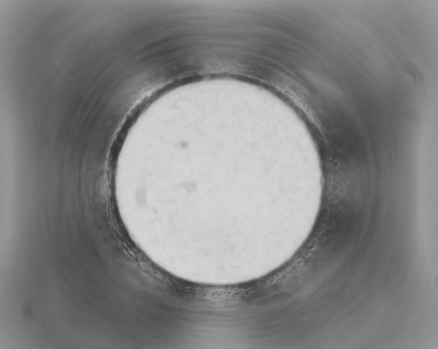 X0000115680832200912101131