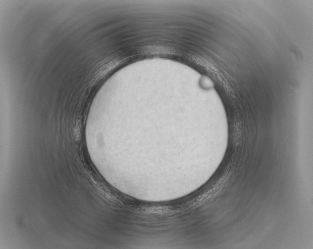 X0000115680833200912101131