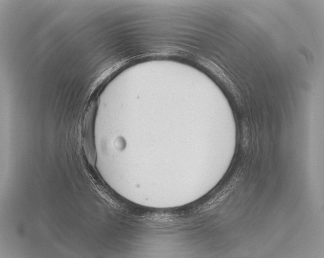 X0000115680834200912101131