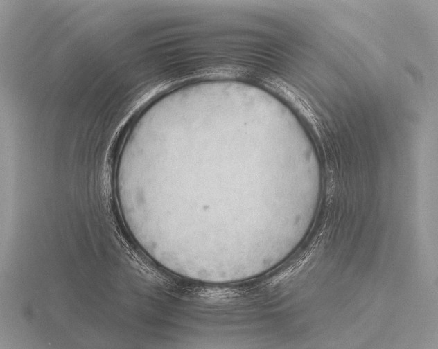 X0000115680835200912101131