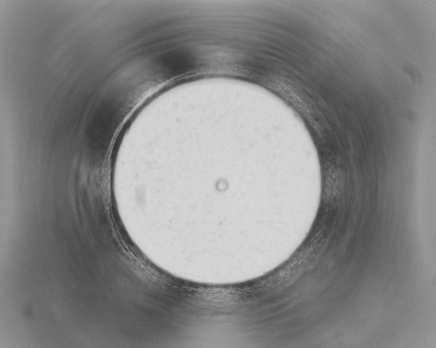 X0000115680836200912101131