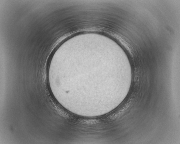 X0000115680837200912101131