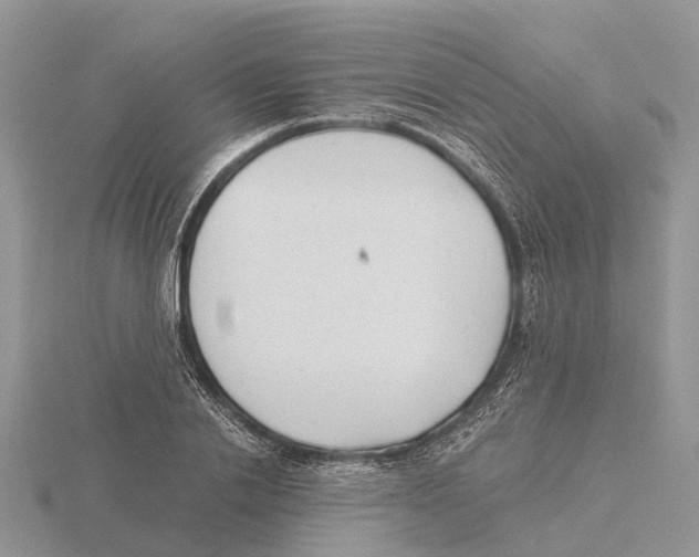 X0000115680838200912101131