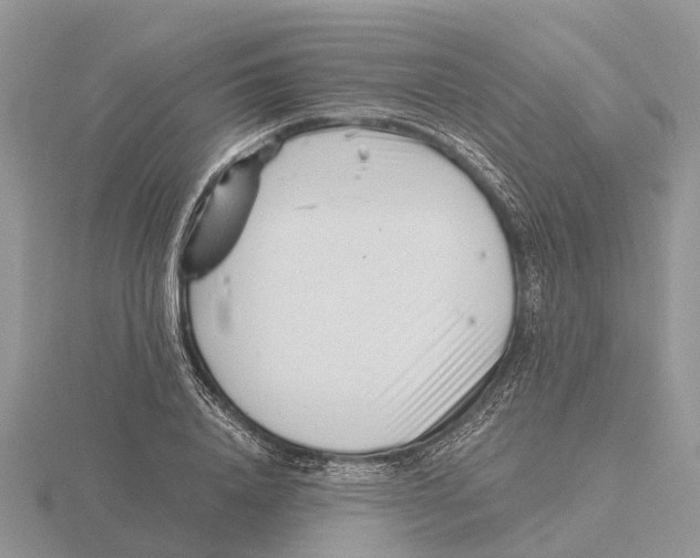 X0000115680840200912101131