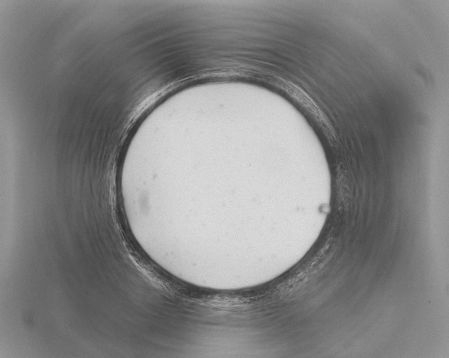 X0000115680842200912101131