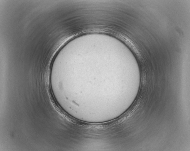 X0000115680844200912101131