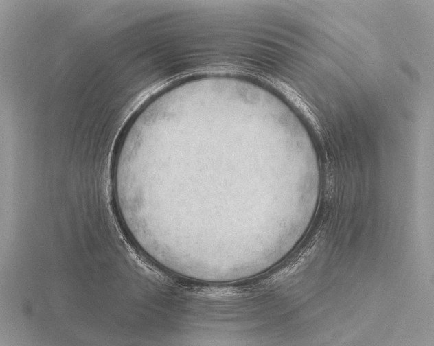 X0000115680845200912101131