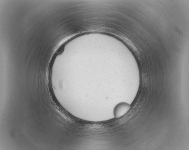 X0000115680846200912101131