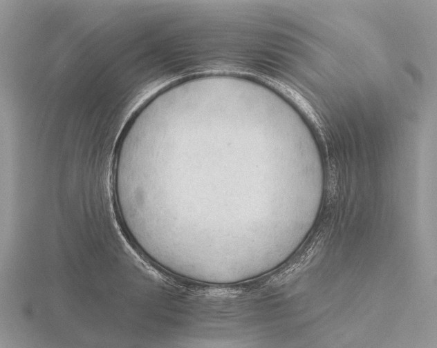 X0000115680847200912101131