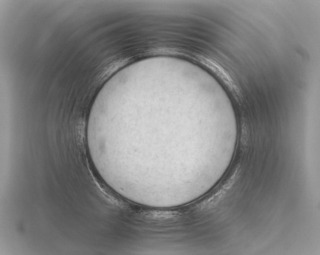 X0000115680849200912101131