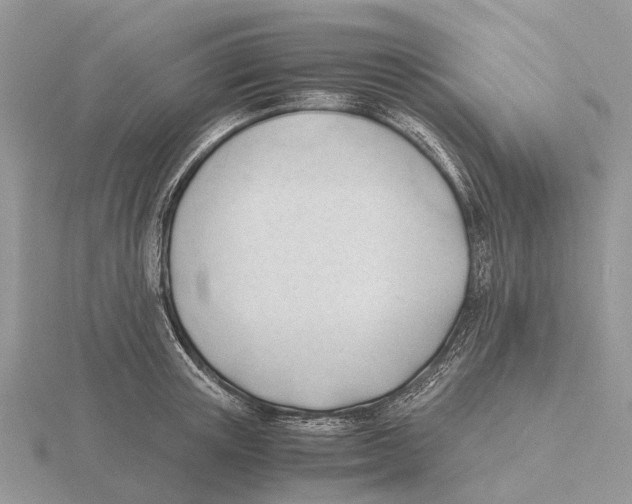 X0000115680851200912101131