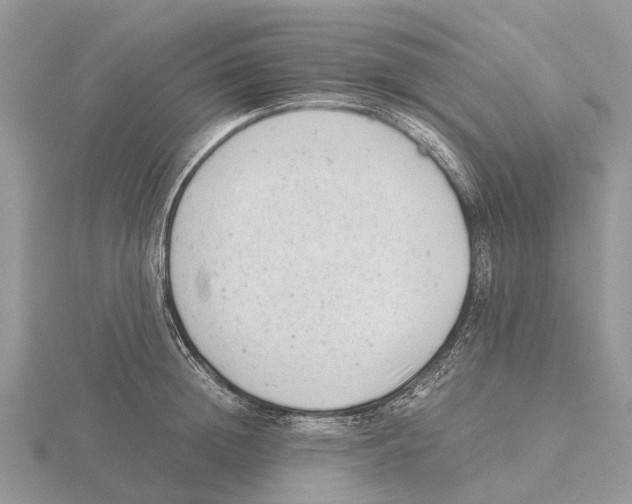 X0000115680852200912101131