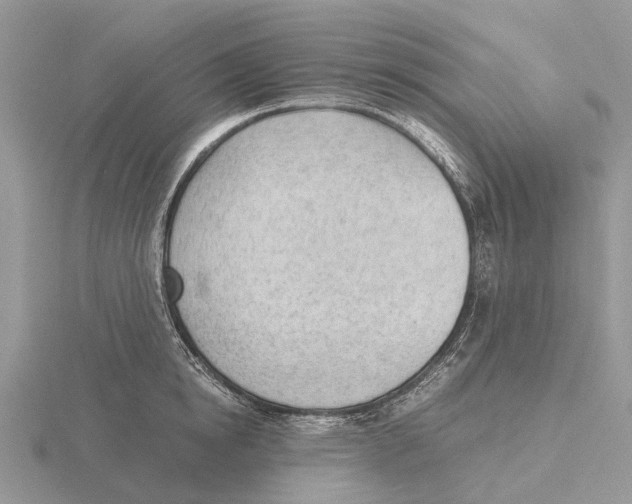 X0000115680854200912101131