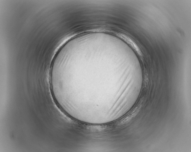 X0000115680855200912101131