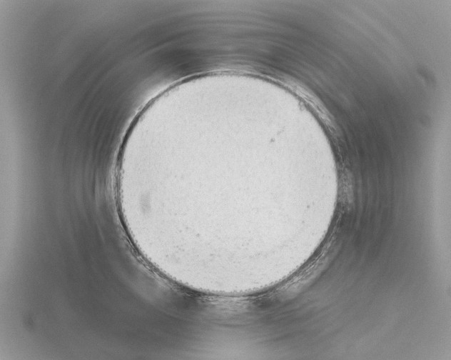 X0000115680856200912101131