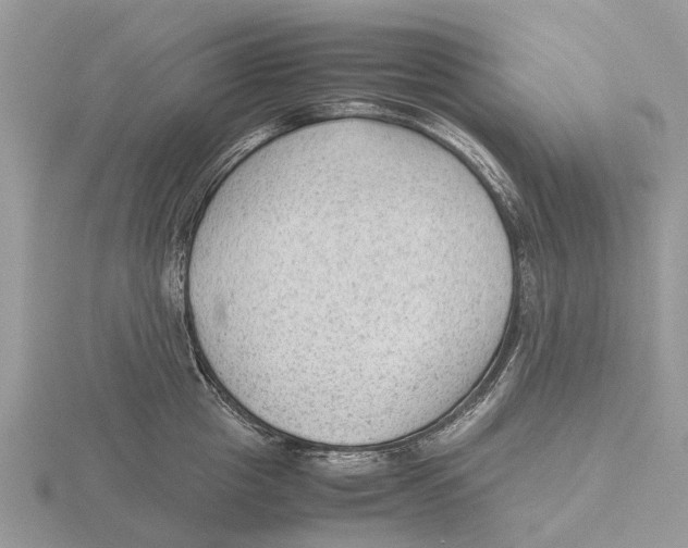 X0000115680857200912101131