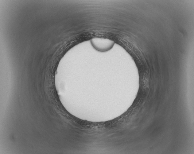 X0000115680865200912101131