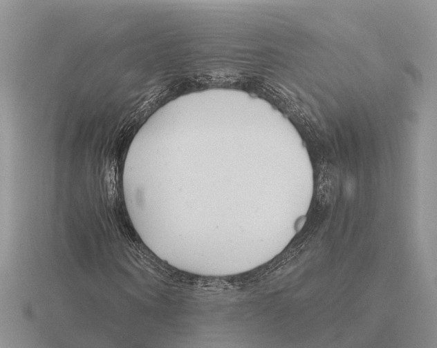 X0000115680866200912101131