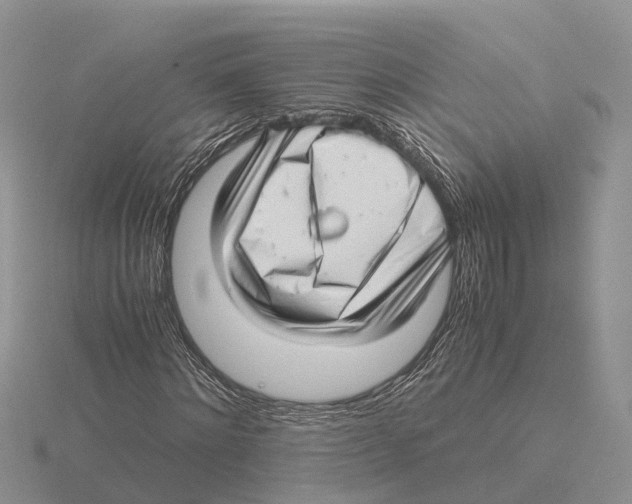 X0000115680868200912101131