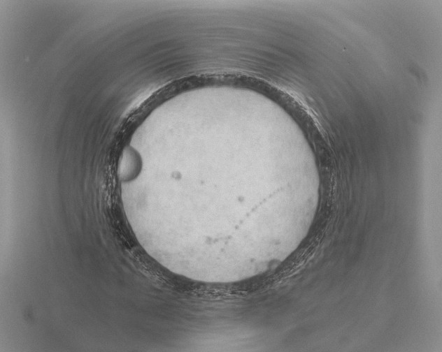 X0000115680871200912101131