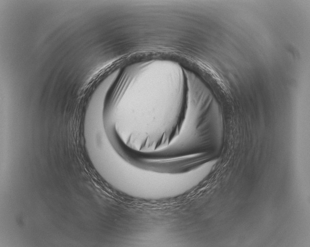 X0000115680872200912101131