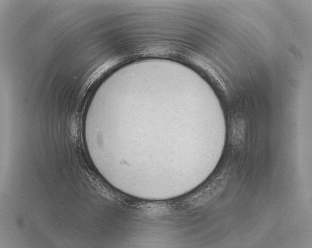 X0000115680874200912101131