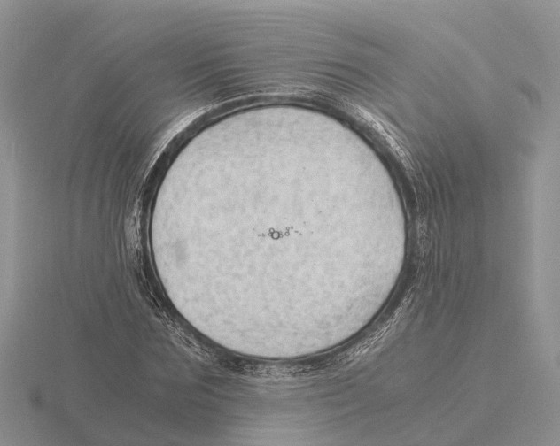 X0000115680875200912101131