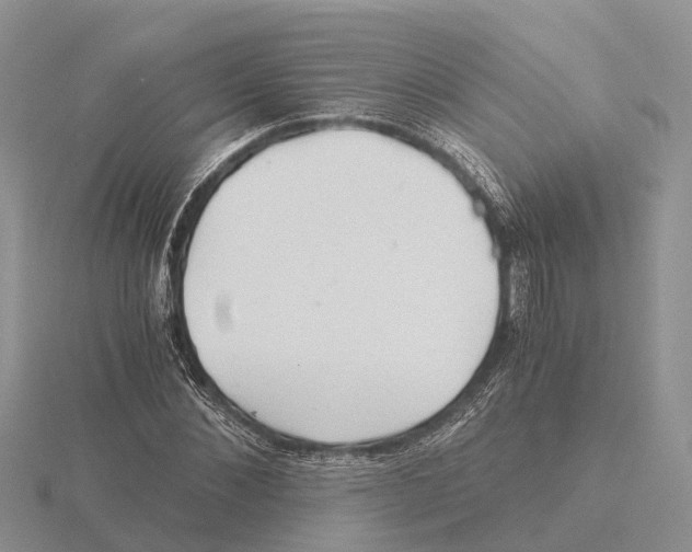 X0000115680876200912101131