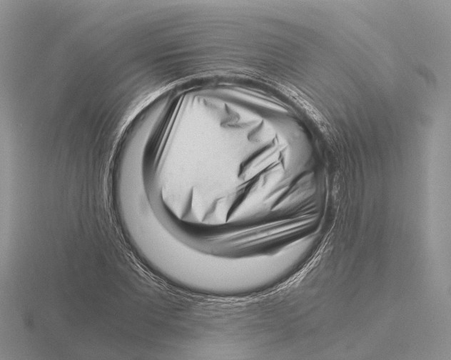 X0000115680877200912101131