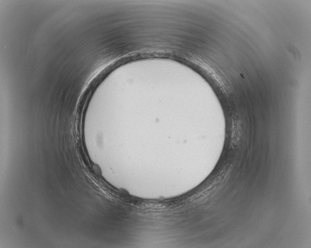 X0000115680878200912101131