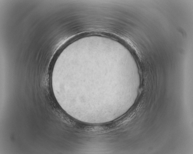 X0000115680879200912101131