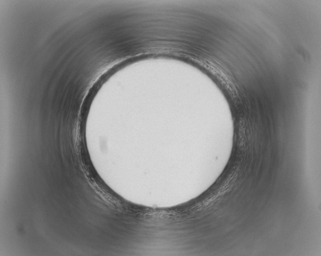 X0000115680880200912101131