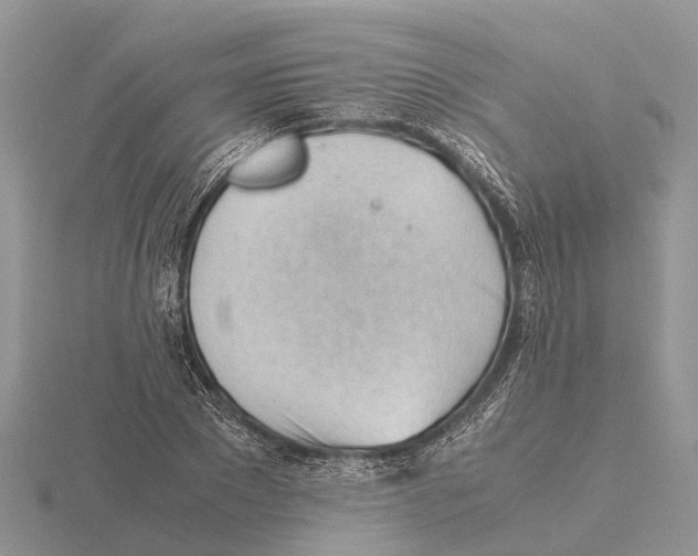 X0000115680881200912101131