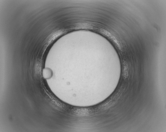 X0000115680882200912101131