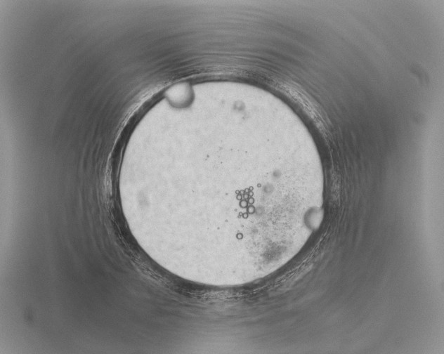 X0000115680883200912101131