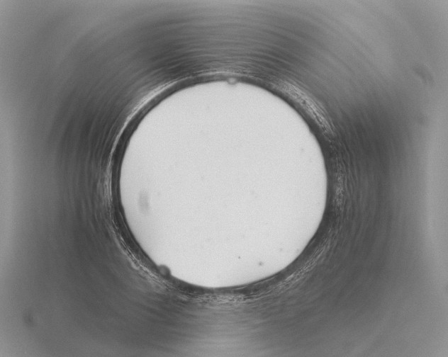 X0000115680884200912101131