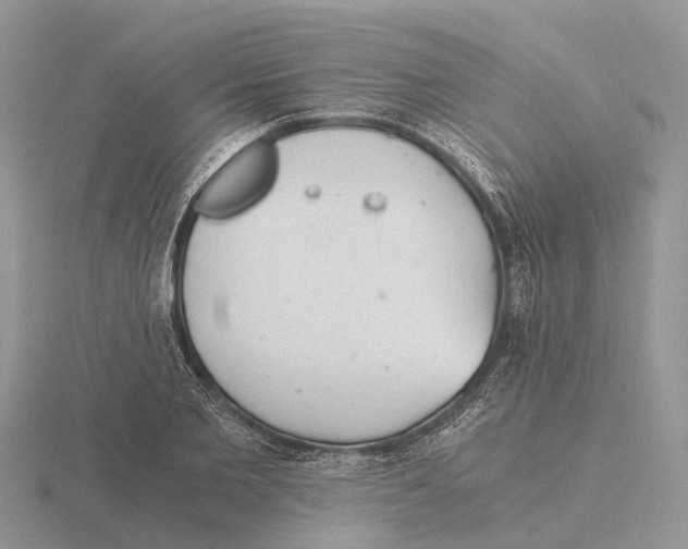 X0000115680885200912101131