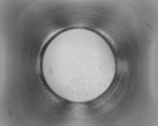 X0000115680886200912101131