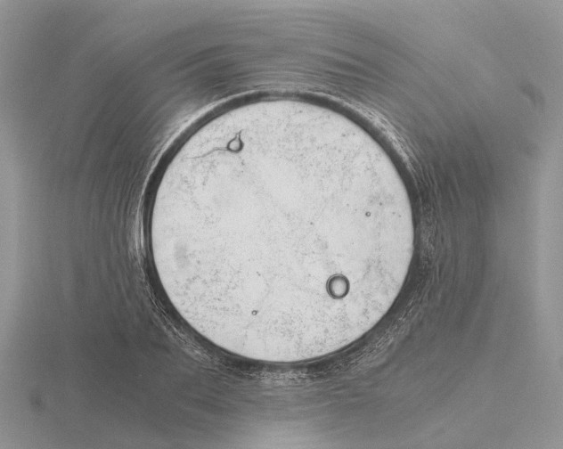 X0000115680887200912101131