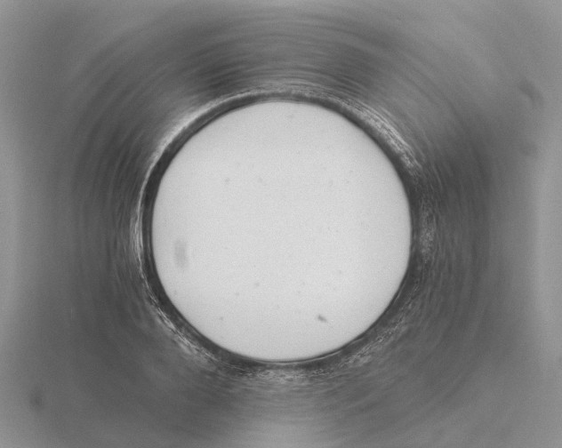 X0000115680888200912101131