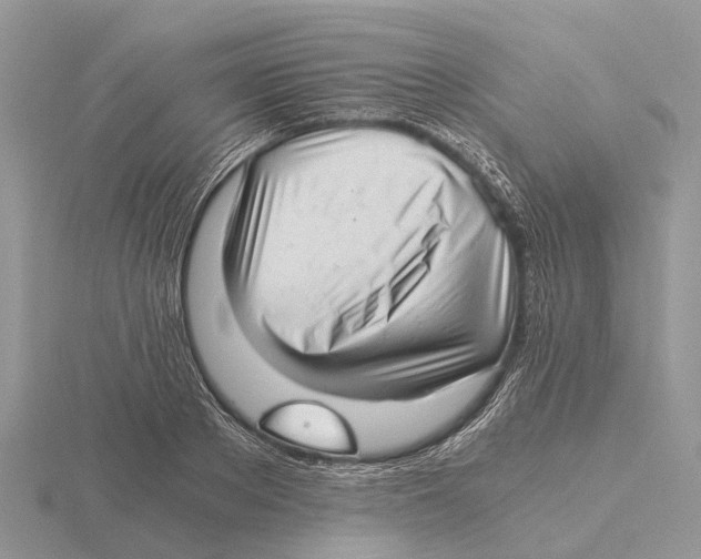 X0000115680889200912101131