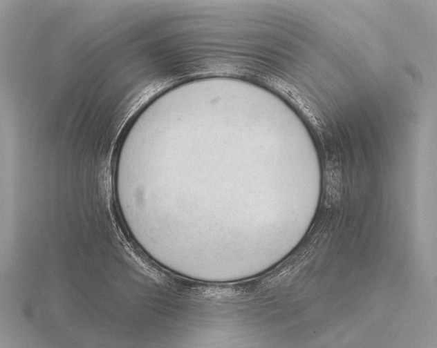 X0000115680890200912101131