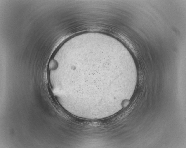 X0000115680891200912101131