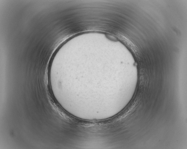 X0000115680892200912101131