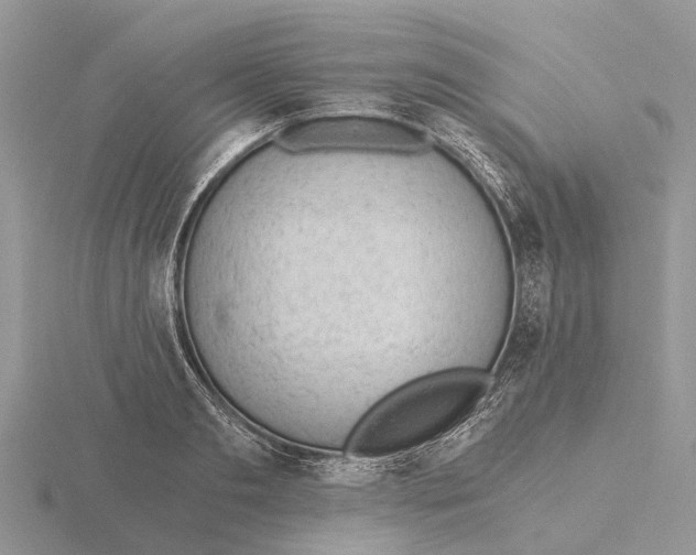 X0000115680893200912101131