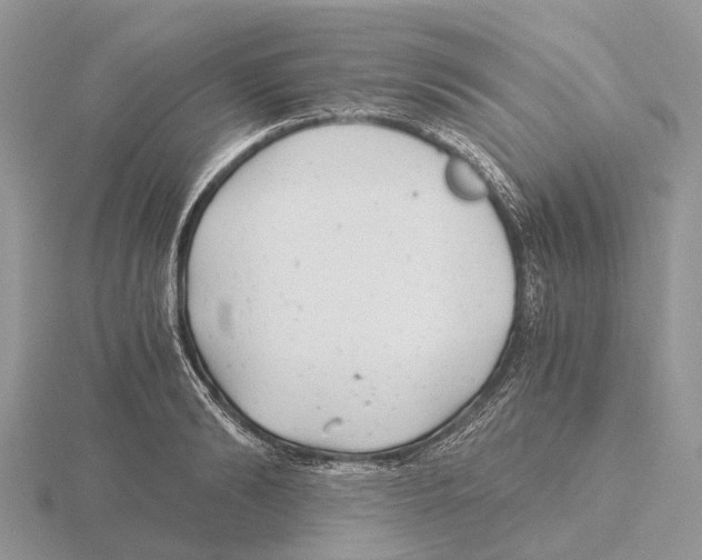 X0000115680894200912101131