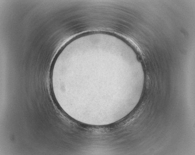 X0000115680895200912101131