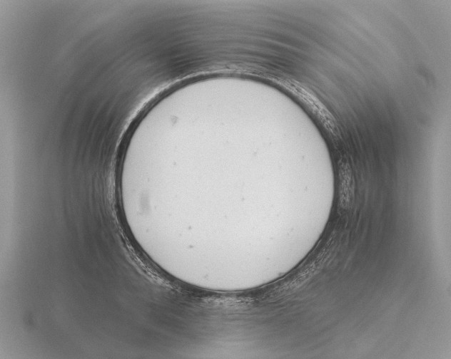 X0000115680896200912101131