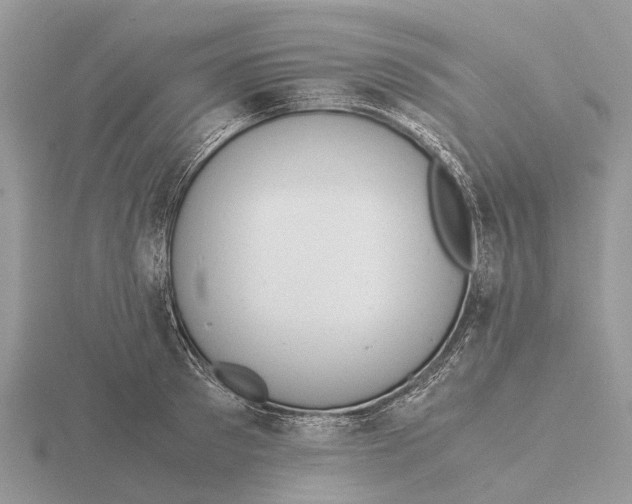 X0000115680897200912101131