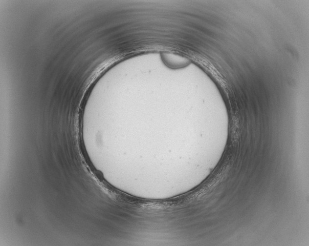 X0000115680898200912101131